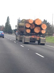 Death of an Ecosystem